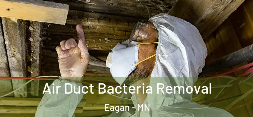 Air Duct Bacteria Removal Eagan - MN