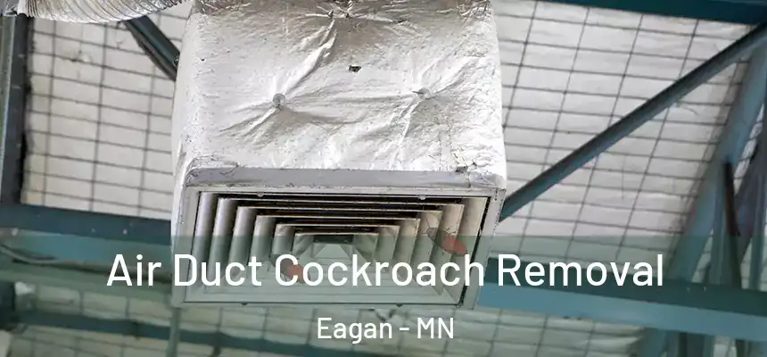 Air Duct Cockroach Removal Eagan - MN