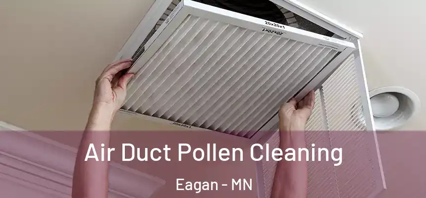 Air Duct Pollen Cleaning Eagan - MN