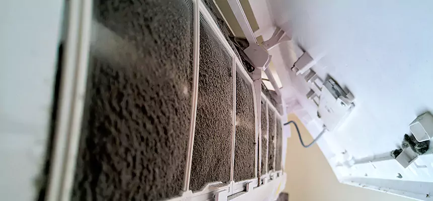 Preventive Air Duct Bacteria Removal in Eagan