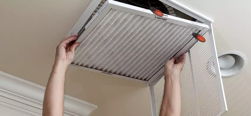 Our Insect Removal from Air Ducts Services in Eagan, MN