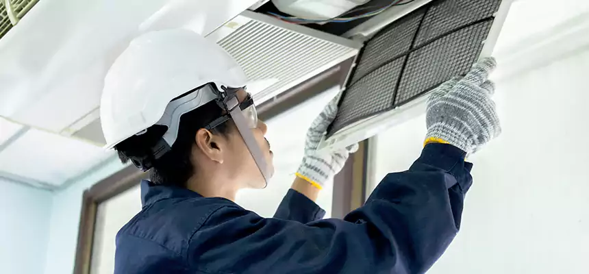 Our Mold & Mildew Removal from Air Ducts Services in Eagan, MN