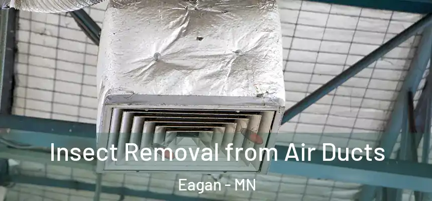 Insect Removal from Air Ducts Eagan - MN