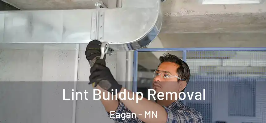 Lint Buildup Removal Eagan - MN