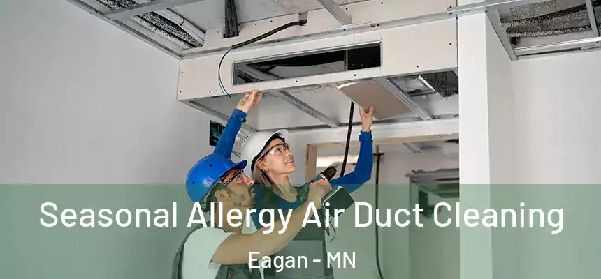 Seasonal Allergy Air Duct Cleaning Eagan - MN