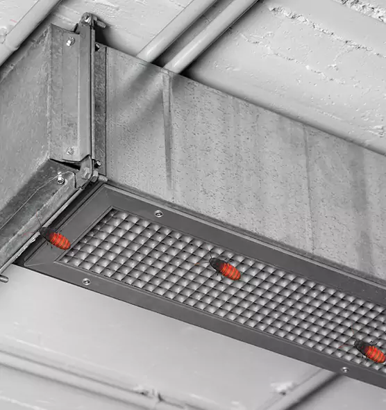 About Air Duct Cockroach Removal in Eagan, MN