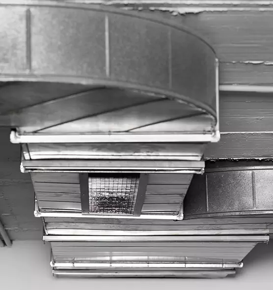 Professional Air Duct Pet Hair Removal in Eagan, MN