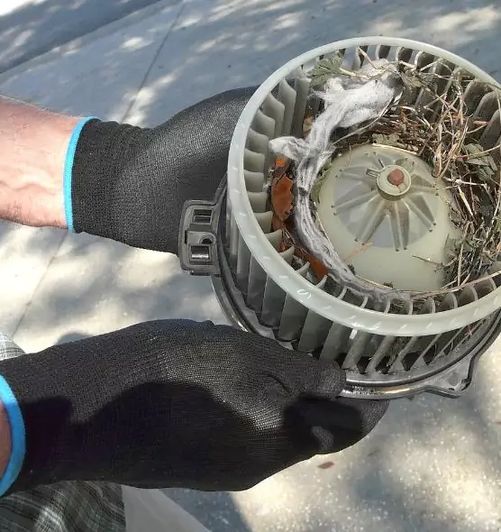 About Air Duct Rat Removal in Eagan, MN