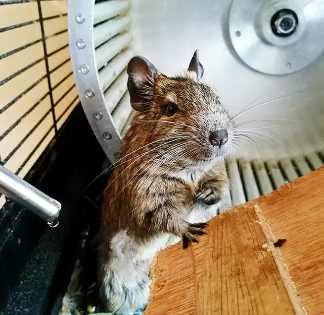 Why Homeowners & Businesses Trust Us Eagan, MN?